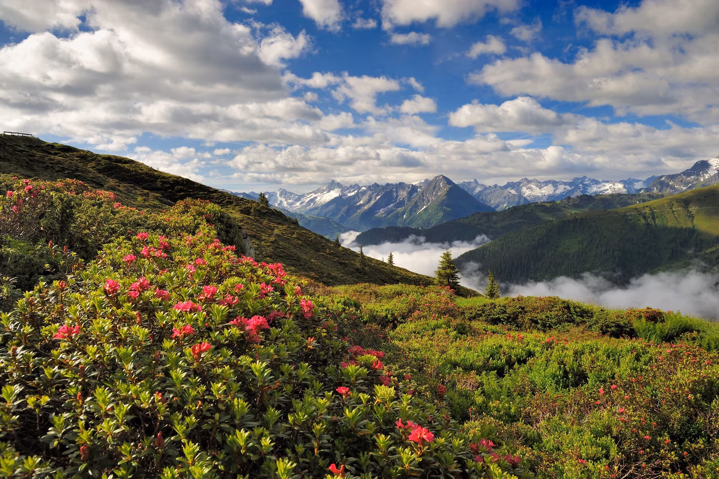 Summer in the Zillertal